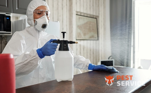 Дезинфекция в Владимире