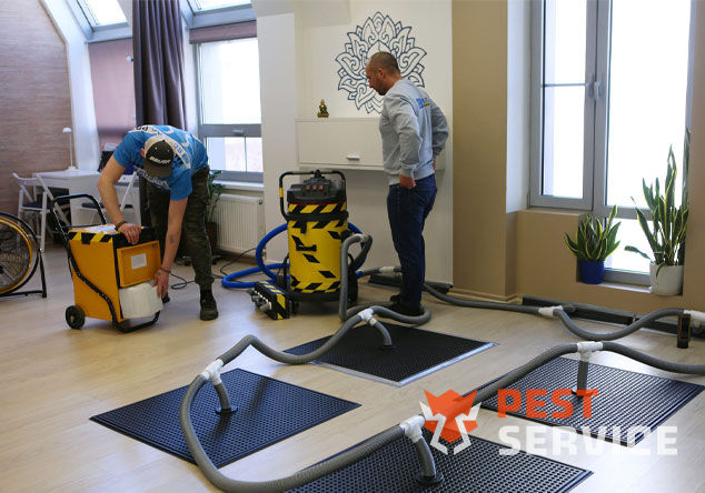 Профессиональная сушка после потопа в Владимире от 3000 руб. Быстро устраняем влагу, предотвращаем плесень и повреждения. Современное оборудование и опытные специалисты. Безопасно и эффективно.